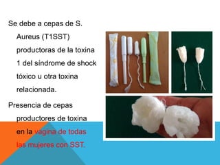 Se debe a cepas de S.
Aureus (T1SST)
productoras de la toxina
1 del síndrome de shock
tóxico u otra toxina
relacionada.
Presencia de cepas
productores de toxina
en la vagina de todas
las mujeres con SST.
 
