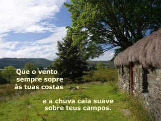 Que o vento sempre sopre às tuas costas  e a chuva caia suave sobre teus campos. 