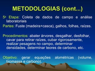 METODOLOGIAS (cont...) 5 a  Etapa : Coleta de dados de campo e análise laboratoriais Partes:  Fuste (madeira+casca), galhos, folhas, raízes. Procedimentos:  abater árvores, desgalhar, desfolhar, cavar para retirar raízes,  cubar rigorosamente, realizar pesagens no campo, determinar densidades, determinar teores de carbono, etc. Objetivo:  gerar equações alométricas (volume, biomassa e carbono). 
