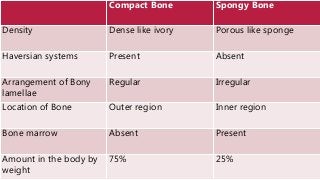 Compact Bone Spongy Bone
Density Dense like ivory Porous like sponge
Haversian systems Present Absent
Arrangement of Bony
lamellae
Regular Irregular
Location of Bone Outer region Inner region
Bone marrow Absent Present
Amount in the body by
weight
75% 25%
 