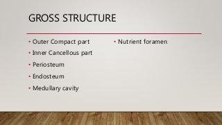 GROSS STRUCTURE
• Outer Compact part
• Inner Cancellous part
• Periosteum
• Endosteum
• Medullary cavity
• Nutrient foramen
 