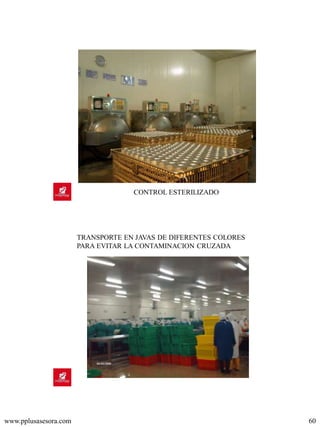 www.pplusasesora.com 60
CONTROL ESTERILIZADO
TRANSPORTE EN JAVAS DE DIFERENTES COLORES
PARA EVITAR LA CONTAMINACION CRUZADA
 