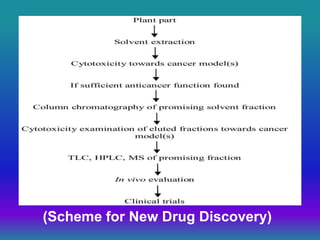(Scheme for New Drug Discovery)
 