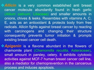 Allicin is a very common established anti breast
cancer molecule abundantly found in fresh garlic
(Allium sativum, Liliaceae) and smaller amounts in
onions, chives & leeks. Resembles with vitamins A, C,
E, acts as an antioxidant & protects body from free
radicals. Allicin fights against breast cancer by reacting
with carcinogens and changing their structure
consequently prevents tumor initiation & prompts
existing breast cancer cell death.
Apigenin is a flavone abundant in the flowers of
chamomile plant (Chamomilla recutita, Asteraceae),
small amount in parsley, celery. It exhibits cytotoxic
activities against MCF-7 human breast cancer cell line,
also a mediator for chemoprevention in the cancerous
process and induces apoptosis.
 