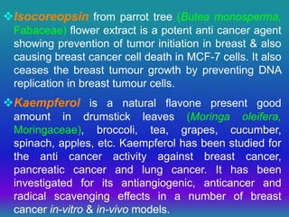 Isocoreopsin from parrot tree (Butea monosperma,
Fabaceae) flower extract is a potent anti cancer agent
showing prevention of tumor initiation in breast & also
causing breast cancer cell death in MCF-7 cells. It also
ceases the breast tumour growth by preventing DNA
replication in breast tumour cells.
Kaempferol is a natural flavone present good
amount in drumstick leaves (Moringa oleifera,
Moringaceae), broccoli, tea, grapes, cucumber,
spinach, apples, etc. Kaempferol has been studied for
the anti cancer activity against breast cancer,
pancreatic cancer and lung cancer. It has been
investigated for its antiangiogenic, anticancer and
radical scavenging effects in a number of breast
cancer in-vitro & in-vivo models.
 