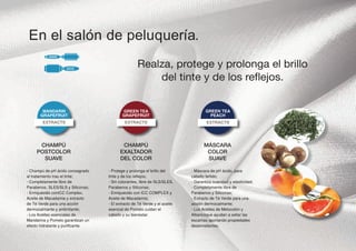 Lisap Escalation Professional