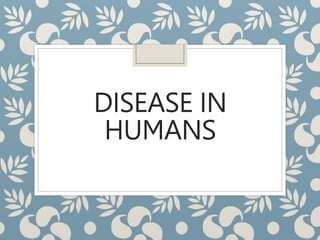 DISEASE IN
HUMANS
 