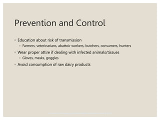 Prevention and Control
◦ Education about risk of transmission
◦ Farmers, veterinarians, abattoir workers, butchers, consumers, hunters
◦ Wear proper attire if dealing with infected animals/tissues
◦ Gloves, masks, goggles
◦ Avoid consumption of raw dairy products
Center for Food Security and Public Health, Iowa State University, 2012
 