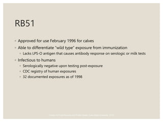 RB51
◦ Approved for use February 1996 for calves
◦ Able to differentiate “wild type” exposure from immunization
◦ Lacks LPS-O antigen that causes antibody response on serologic or milk tests
◦ Infectious to humans
◦ Serologically negative upon testing post-exposure
◦ CDC registry of human exposures
◦ 32 documented exposures as of 1998
Center for Food Security and Public Health, Iowa State University, 2012
 