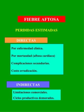 FIEBRE AFTOSA PERDIDAS ESTIMADAS DIRECTAS Por enfermedad clínica. Por mortandad (aftosa cardíaca) Complicaciones secundarias. Costo erradicación. Limitaciones comerciales. Ciclos productivos demorados. INDIRECTAS 