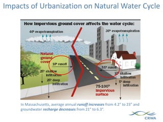 In Massachusetts, average annual runoff increases from 4.2” to 23” and
groundwater recharge decreases from 21” to 6.3”.
Impacts of Urbanization on Natural Water Cycle
 