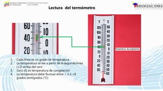 1. Cada línea es un grado de temperatura
2. La temperatura se lee a partir de la segunda línea
(+2) arriba del cero
3. Cero (0) es temperatura de congelación
4. La temperatura debe fluctuar entre + 2 a +8
grados centígrados (°C)
Lectura del termómetro
 