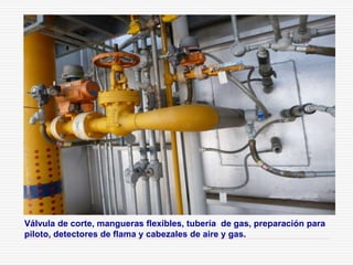 Válvula de corte, mangueras flexibles, tubería de gas, preparación para
piloto, detectores de flama y cabezales de aire y gas.
 