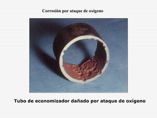 Corrosión por ataque de oxígeno
Tubo de economizador dañado por ataque de oxígeno
 
