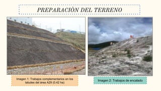 PREPARACIÒN DEL TERRENO
Imagen 1: Trabajos complementarios en los
taludes del área A29 (0.42 ha)
Imagen 2: Trabajos de encalado
 