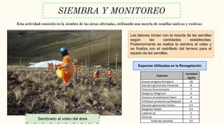 SIEMBRA Y MONITOREO
Esta actividad consistió en la siembra de las áreas afectadas, utilizando una mezcla de semillas nativas y exóticas
Las labores inician con la mezcla de las semillas
según las cantidades establecidas.
Posteriormente se realiza la siembra al voleo y
se finaliza con el rastrillado del terreno para el
tapado de las semillas.
Sembrado al voleo del área
Especies Utilizadas en la Revegetación
 