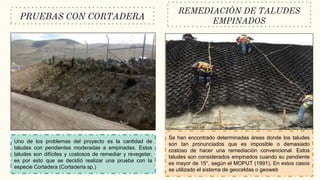 PRUEBAS CON CORTADERA
Uno de los problemas del proyecto es la cantidad de
taludes con pendientes moderadas a empinadas. Estos
taludes son difíciles y costosos de remediar y revegetar,
es por esto que se decidió realizar una prueba con la
especie Cortadera (Cortaderia sp.)
REMEDIACIÒN DE TALUDES
EMPINADOS
Se han encontrado determinadas áreas donde los taludes
son tan pronunciados que es imposible o demasiado
costoso de hacer una remediación convencional. Estos
taludes son considerados empinados cuando su pendiente
es mayor de 15°, según el MOPUT (1991). En estos casos
se utilizado el sistema de geoceldas o geoweb
 