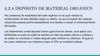 4.2.4 DEPÓSITO DE MATERIAL ORGÁNICO
Por problemas de estabilidad del suelo orgánico no se pudo realizar la
conformación de este depósito según su diseño, ya que el ingreso de cualquier
maquinaria pesada podría desestabilizar sus taludes o causar un entrampamiento
del equipo.
Los tratamientos a este depósito fueron igual al de los demás, se le aplicó cal y
fertilizantes al suelo se realizó la siembra al voleo de pastos nativos y exóticos y
se realizó un monitoreo 2 meses después para verificar su cobertura. Al igual en
los casos anteriores una cobertura mayor al 75% se considera exitosa.
 