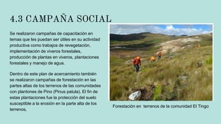 4.3 CAMPAÑA SOCIAL
Se realizaron campañas de capacitación en
temas que les puedan ser útiles en su actividad
productiva como trabajos de revegetación,
implementación de viveros forestales,
producción de plantas en viveros, plantaciones
forestales y manejo de agua.
Dentro de este plan de acercamiento también
se realizaron campañas de forestación en las
partes altas de los terrenos de las comunidades
con plantones de Pino (Pinus patula). El fin de
estas plantaciones fue la protección del suelo
susceptible a la erosión en la parte alta de los
terrenos,
Forestación en terrenos de la comunidad El Tingo
 