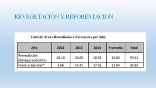 CajamarcaAGROFORESTERIAUNIVERSIDADNACIONALDELCALLAO.pptx