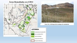 CajamarcaAGROFORESTERIAUNIVERSIDADNACIONALDELCALLAO.pptx