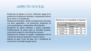 CajamarcaAGROFORESTERIAUNIVERSIDADNACIONALDELCALLAO.pptx
