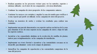 CajamarcaAGROFORESTERIAUNIVERSIDADNACIONALDELCALLAO.pptx