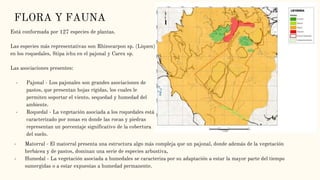 FLORA Y FAUNA
Está conformada por 127 especies de plantas.
Las especies más representativas son Rhizocarpon sp. (Liquen)
en los roquedales, Stipa ichu en el pajonal y Carex sp.
Las asociaciones presentes:
- Pajonal - Los pajonales son grandes asociaciones de
pastos, que presentan hojas rígidas, los cuales le
permiten soportar el viento, sequedad y humedad del
ambiente.
- Roquedal - La vegetación asociada a los roquedales está
caracterizado por zonas en donde las rocas y piedras
representan un porcentaje significativo de la cobertura
del suelo.
- Matorral - El matorral presenta una estructura algo más compleja que un pajonal, donde además de la vegetación
herbácea y de pastos, dominan una serie de especies arbustiva,
- Humedal - La vegetación asociada a humedales se caracteriza por su adaptación a estar la mayor parte del tiempo
sumergidas o a estar expuestas a humedad permanente.
 