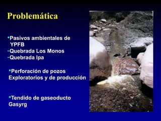 •Pasivos ambientales de
YPFB
-Quebrada Los Monos
-Quebrada Ipa
•Perforación de pozos
Exploratorios y de producción
Problemática
•Tendido de gaseoducto
Gasyrg
 