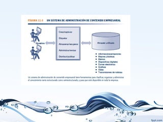 Cap. 11