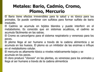 El Bario tiene efectos irreversibles para la salud y es tóxico para los
animales. Se puede combinar con sulfatos para formar sulfato de bario
insoluble.
El Cadmio se acumula en tejidos blandos y puede interferir en el
metabolismo. Es conocido que en sistemas acuáticos, el cadmio se
acumula fácilmente en las ostras.
El Cromo es cancerígeno para el sistema respiratorio y venenoso para los
peces.
El plomo llega al ser humano a través de la cadena alimenticia y se
acumula en los huesos. El plomo es un inhibidor de las enzimas e influye
en el metabolismo celular.
El mercurio es altamente tóxico a niveles relativamente bajos y se
acumula en los peces.
El cloro produce "clorosis" en las plantas, es venenoso para los animales y
llega al ser humano a través de la cadena alimenticia
Metales: Bario, Cadmio, Cromo,
Plomo, Mercurio
 