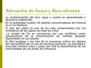 Alteración de fauna y flora silvestre
La contaminación del aire, agua y suelos es generalizada y
pareciera indetenible.
En la actualidad existen 20 plantas concentradoras de mineral
en el río Mantaro.
El mar del callao es uno de los más contaminados por los
vertederos de las aguas servidas de Lima.
La ciudad de Ilo se caracteriza por sus conflictos como
consecuencia de la concentración de metales pesados
depositados en sus playas.
El Alto Huallaga y los ríos de la amazonia sufren los efectos
del narcotráfico por el uso de insumos químicos. La actividad e
inversión minera crece y junto con ella la desconfianza de las
comunidades de sus áreas de influencia.
 