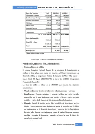 MarketingAgroalimentario PLAN DE NEGOCIOS “LA CANDARAVEÑA S.A.”
Msc. NicolásSequeiros Flores 59
Ilustración 25: Estructura de financiamiento
 