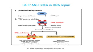 Carcinoma Ovary- maintenance therapy.pptx