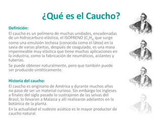 ¿Qué es el Caucho? Definición: El caucho es un polímero de muchas unidades, encadenadas de un hidrocarburo elástico, el ISOPRENO (C 5 H 8)  que surge como una emulsión lechosa (conocida como el látex) en la savia de varias plantas, después de coagulado, es una masa impermeable muy elástica que tiene muchas aplicaciones en la industria, como la fabricación de neumáticos, aislantes y tuberías. Se puede obtener naturalmente, pero que también puede ser producido sintéticamente. Historia del caucho: El caucho es originario de América y durante muchos años no paso de ser un material curioso. Sin embargo los ingleses a finales del siglo pasado lo sustrajeron de las selvas del Brasil, lo llevaron a Malasia y allí realizaron adelantos en la botánica de la planta. En la actualidad el sudeste asiático es le mayor productor de caucho natural. 