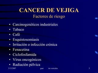 Cavesical