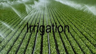 Irrigation
 