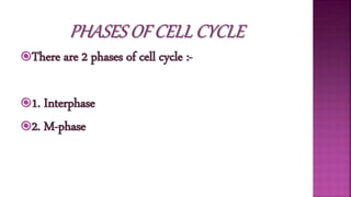 There are 2 phases of cell cycle :-
1. Interphase
2. M-phase
 