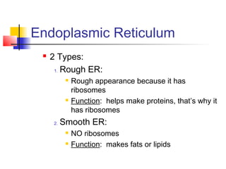 Endoplasmic Reticulum
 2 Types:
1. Rough ER:
 Rough appearance because it has
ribosomes
 Function: helps make proteins, that’s why it
has ribosomes
2. Smooth ER:
 NO ribosomes
 Function: makes fats or lipids
 