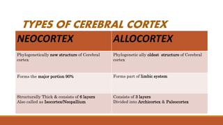 TYPES OF CEREBRAL CORTEX
NEOCORTEX ALLOCORTEX
Phylogenetically new structure of Cerebral
cortex
Phylogenetic ally oldest structure of Cerebral
cortex
Forms the major portion 90% Forms part of limbic system
Structurally Thick & consists of 6 layers
Also called as Isocortex/Neopallium
Consists of 3 layers
Divided into Archicortex & Paleocortex
 