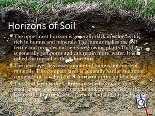 Horizons of Soil
The uppermost horizon is generally dark in color as it is
rich in humus and minerals. The humus makes the soil
fertile and provides nutrients to growing plants.This layer
is generally soft,poros and can retain more water. It is
called the topsoil or the A-horizon
The next layer has lesser amount of humus but more of
minerals. This compact layer is generally harder and more
compact and is called the B-horizon or the middle layer.
The third layer is the C-horizon which is made up of
small lumps of rocks with cracks and crevices. Below this
layer is the bedrock, which is hard and difficult to dig
with a spade.
 