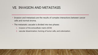 VII. INVASION AND METASTASIS
• Invasion and metastasis are the results of complex interactions between cancer
cells and normal stroma.
• The metastatic cascade is divided into two phases:
1. invasion of the extracellular matrix (ECM)
2. vascular dissemination, homing of tumor cells, and colonization.
 