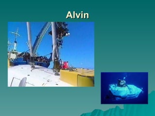 Alvin 