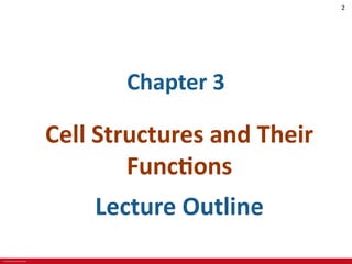 © 2019 McGraw-Hill Education
2
Chapter 3
Cell Structures and Their
Functions
Lecture Outline
 