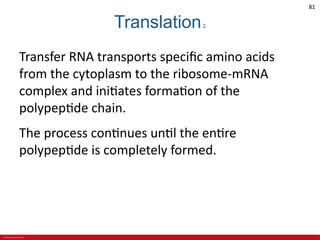 © 2019 McGraw-Hill Education
81
Translation2
Transfer RNA transports specific amino acids
from the cytoplasm to the ribosome-mRNA
complex and initiates formation of the
polypeptide chain.
The process continues until the entire
polypeptide is completely formed.
 