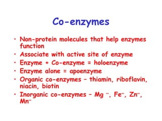 Co-enzymes 
• Non-protein molecules that help enzymes 
function 
• Associate with active site of enzyme 
• Enzyme + Co-enzyme = holoenzyme 
• Enzyme alone = apoenzyme 
• Organic co-enzymes – thiamin, riboflavin, 
niacin, biotin 
• Inorganic co-enzymes – Mg ++, Fe++, Zn++, 
Mn++ 
 