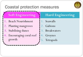 Soft Engineering Hard Engineering
1.  Beach Nourishment
2.  Planting mangroves
3.  Stabilising dunes
4.  Encouraging coral reef
growth
1.  Seawalls
2.  Gabions
3.  Breakwaters
4.  Groynes
5.  Tetrapods
Coastal protection measures
60
 
