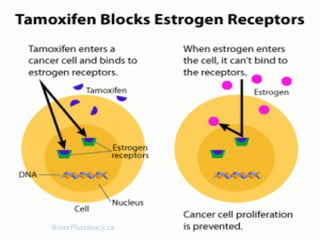 Chemotherapy of cancer