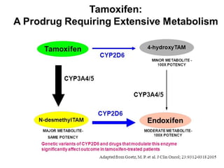 Chemotherapy of cancer