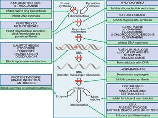 Chemotherapy of cancer